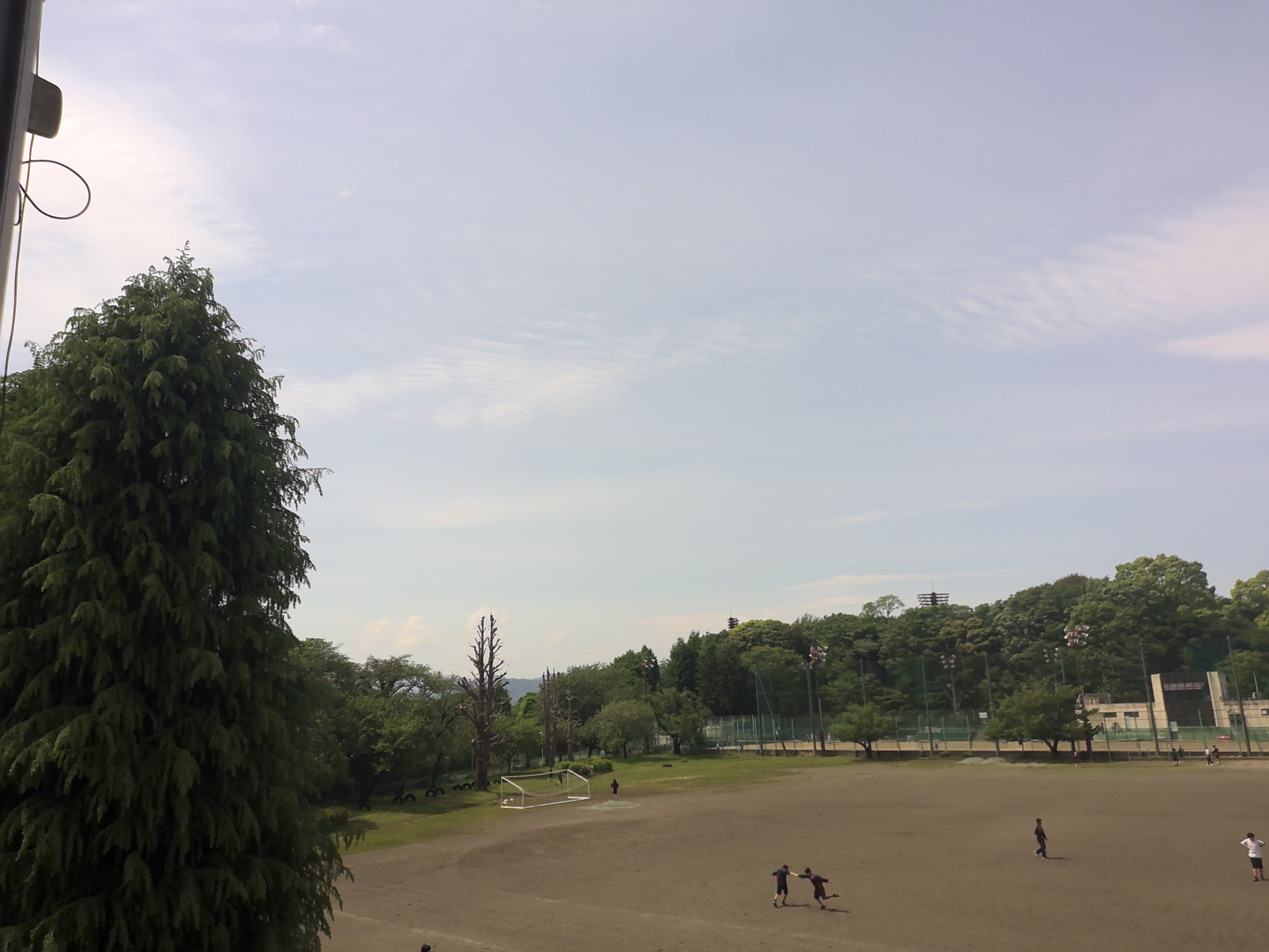 外の様子