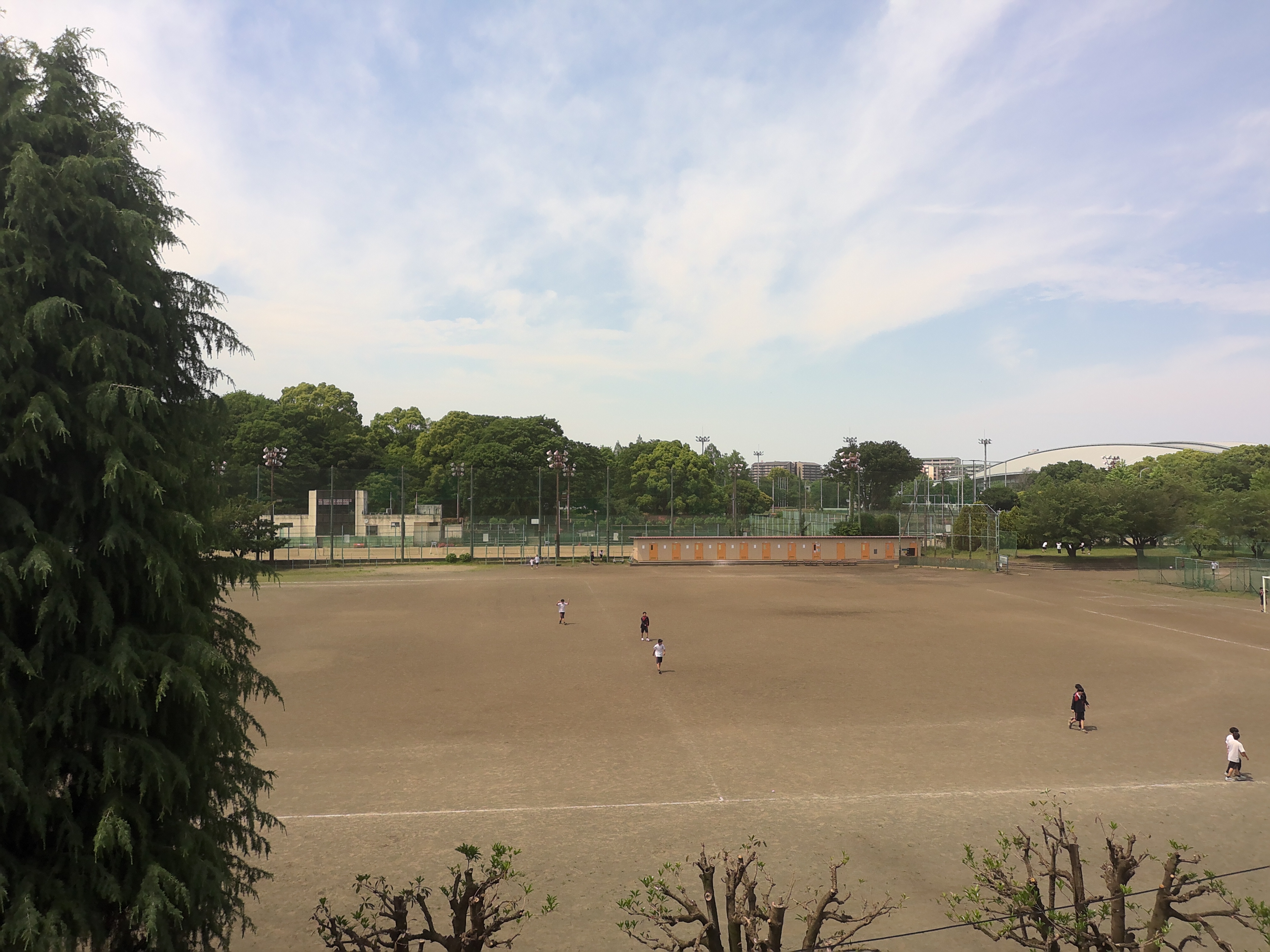 外の様子